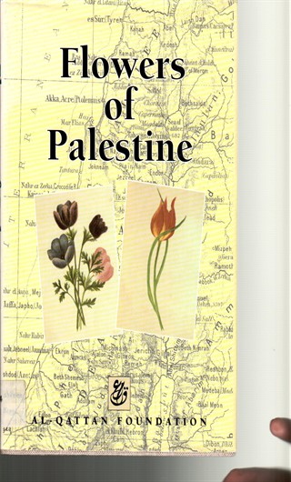Flower of Palestine